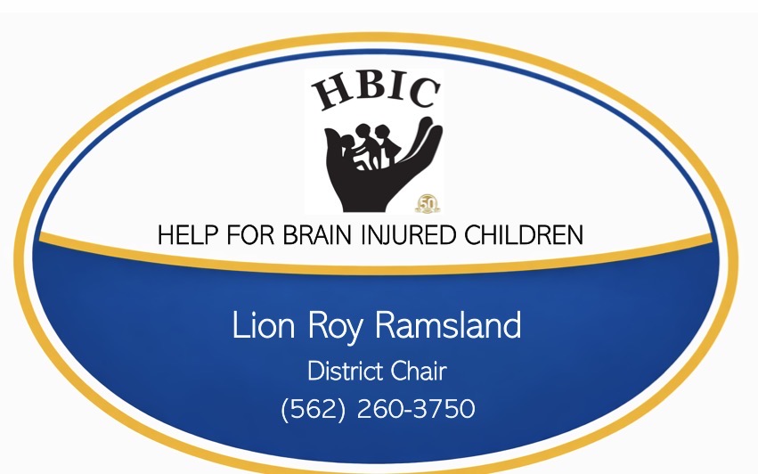 help for brain injured children district progect summary badge