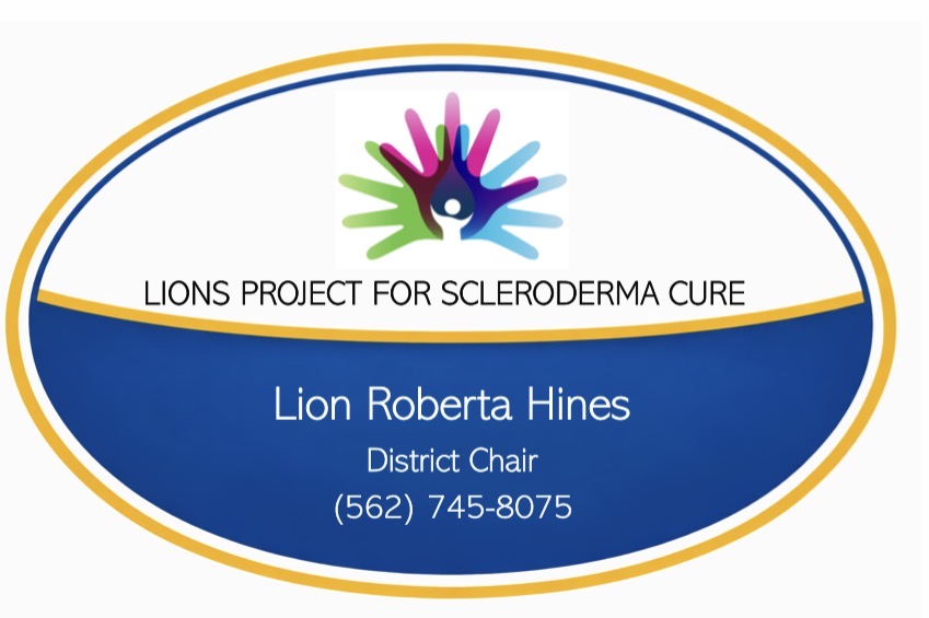 lions for scleroderma cure district project summary badge