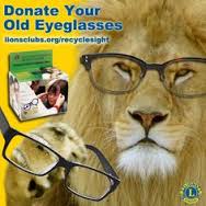 District 49 Aurora Borealis Lions Eyeglass Recycling & Vision